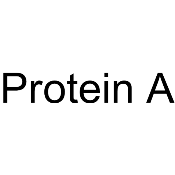 Protein A 308083-69-4